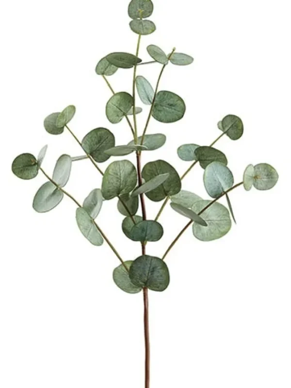 Eucalyptus Spray 29 in. Green