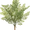 Fern Bush 17 in.