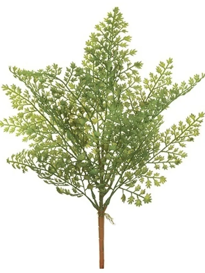 fern_bush__in_0.webp Fern Bush 17 in.