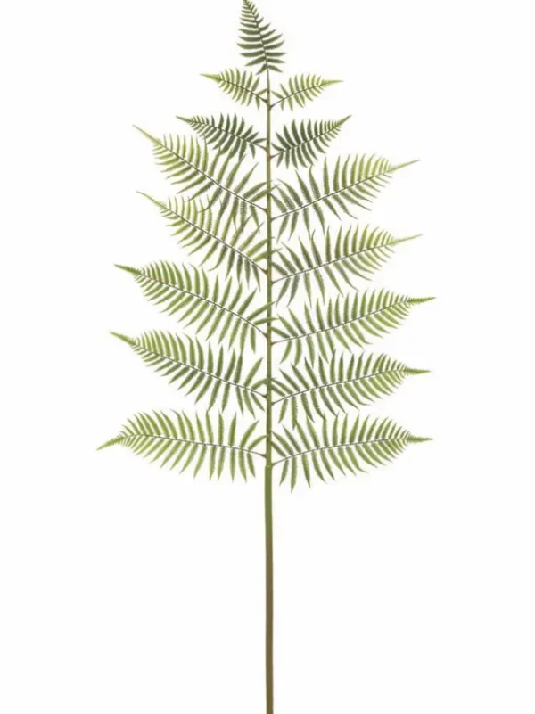 Fern Spray 66 in. Green
