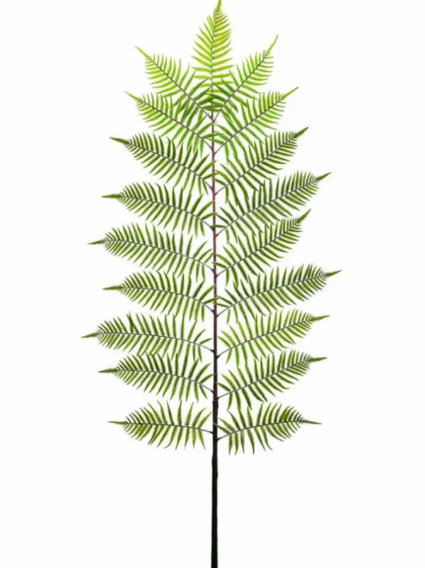 Fern Spray 84 in. Green