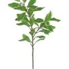 Ficus Leaf Branch 29 in. Green / White