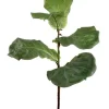 Fiddle Leaf Branch 36 in.