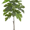 Fig Leaf Branch 41 in. Green