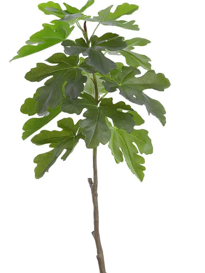 fig_leaf_branch__in_green_0-1.webp Fig Leaf Branch 41 in. Green