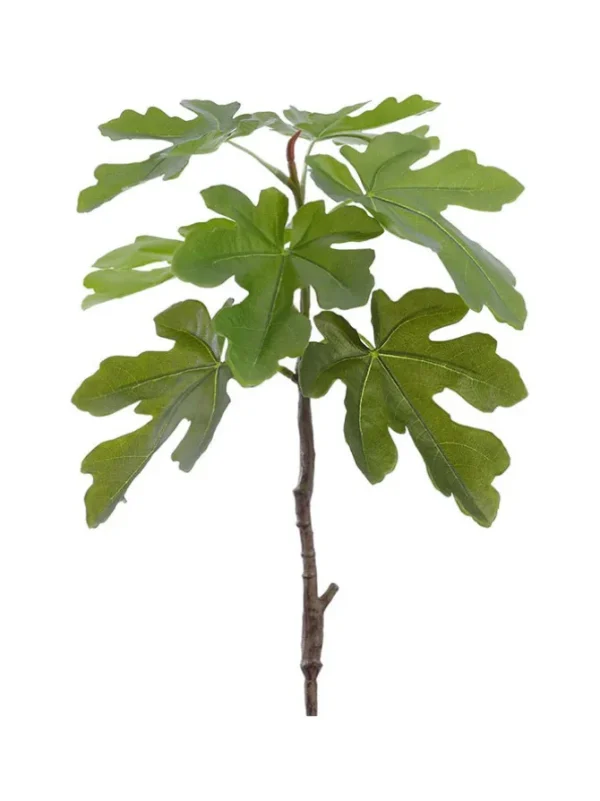 Fig Leaf Branch 29.5 in. Green