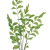 Fishtail Palm 42 in. Green