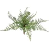 Forest Fern 12 in.