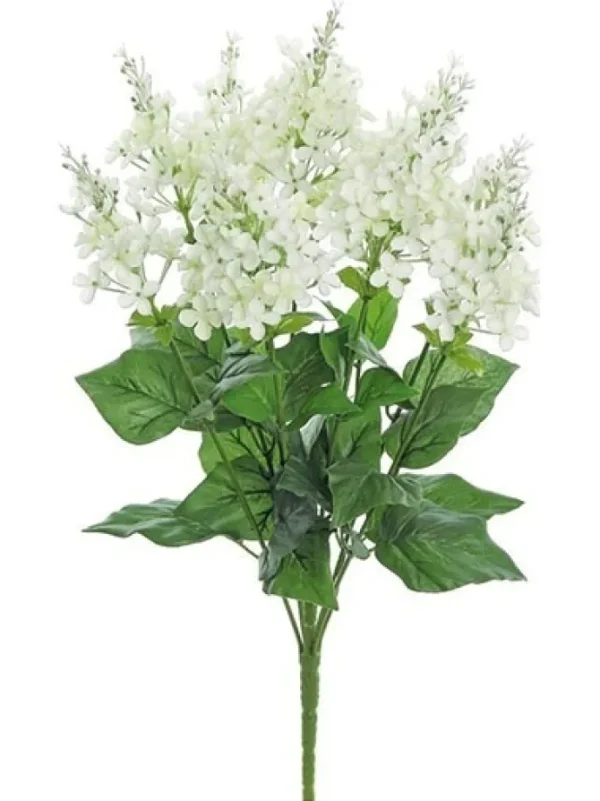 Garden Lilac Bush 21 in. Cream / White