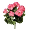 Geranium Bush 17 in. Pink