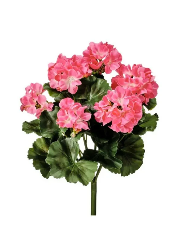 Geranium Bush 17 in. Pink