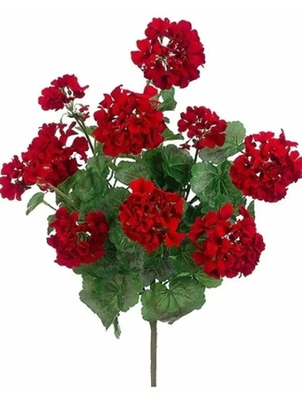 Geranium Bush 24 in. Red