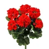 Geranium Bush 17 in. Red