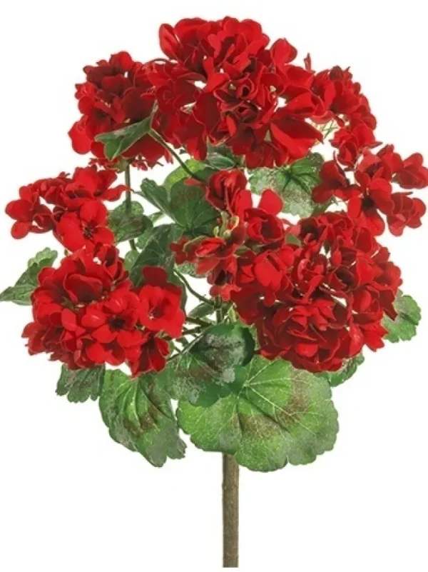 Geranium Bush 24 in. Red