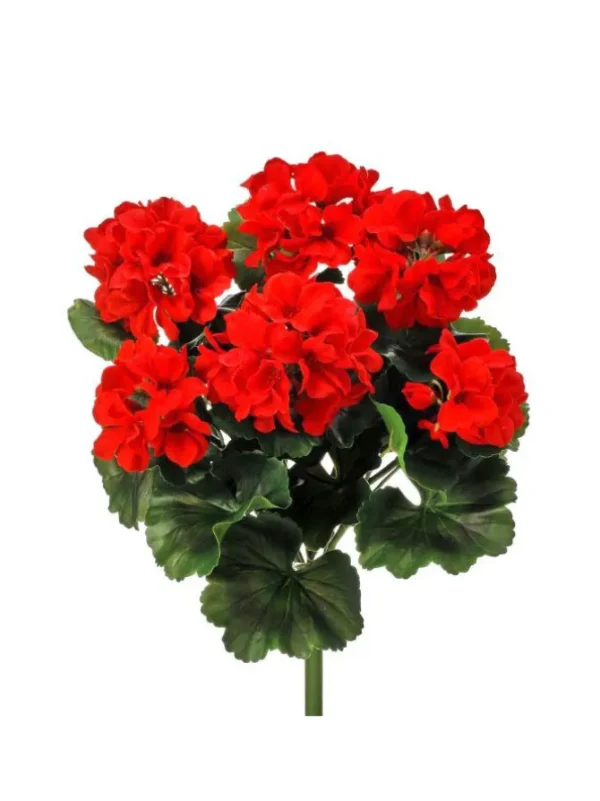 Geranium Bush 17 in. Red