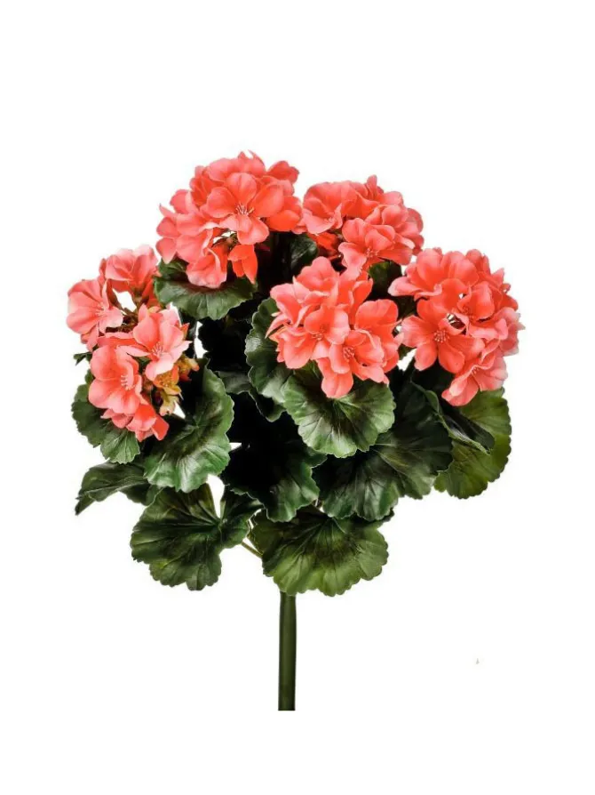 geranium_bush__in_salmon_0.webp Geranium Bush 17 in. Salmon