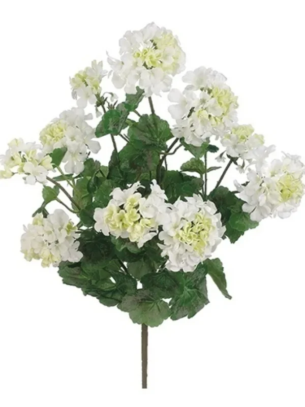 Geranium Bush 24 in. White