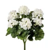 Geranium Bush 17 in. White