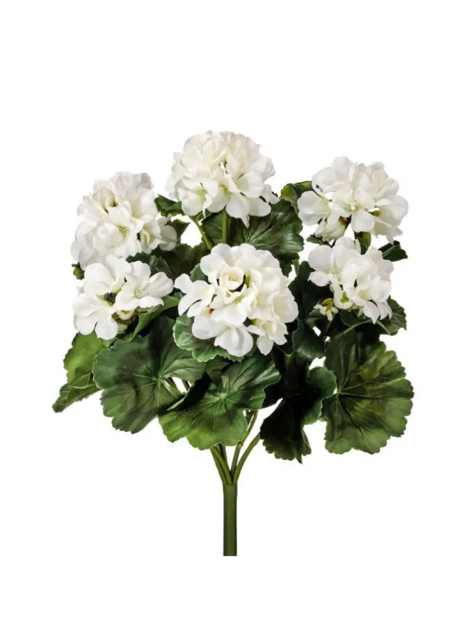 geranium_bush__in_white_0.webp Geranium Bush 17 in. White