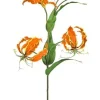 Gloriosa Lily w/ Buds 30 in. Orange
