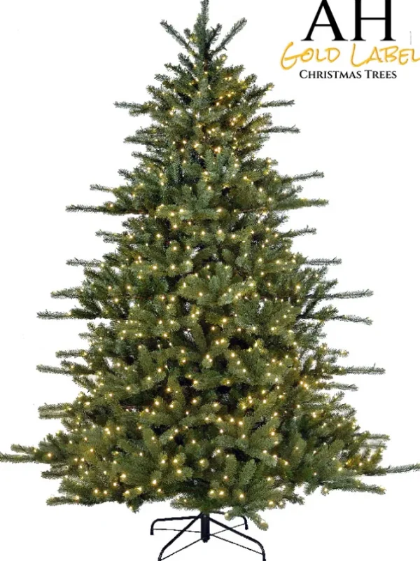 Grand Spruce LED 9 Feet