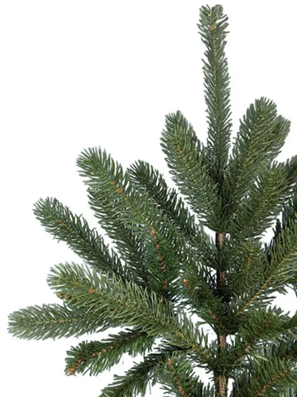 Grand Spruce LED 7.5 Feet