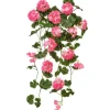 Hanging Geranium Plant 36 in. Pink