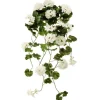 Hanging Geranium Plant 36 in. White