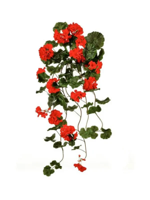 Hanging Geranium Plant 36 in. Red