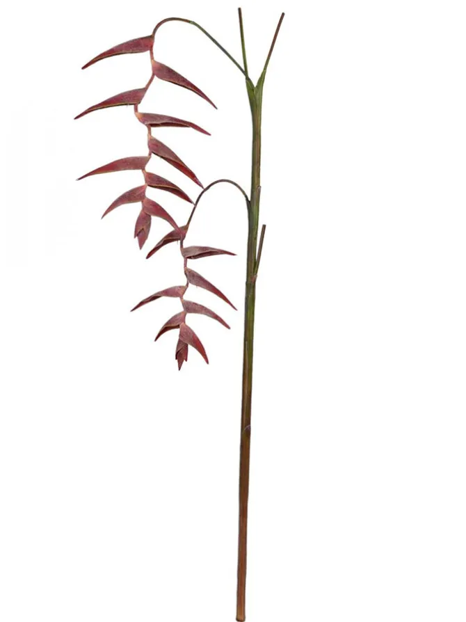 hanging_heliconia__in_red_0.webp Hanging Heliconia 70 in. Red