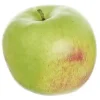 Honeycrisp Apple 4 in. Green