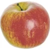 Honeycrisp Apple 4 in. Red