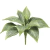 Hosta Bush Green 8 in.