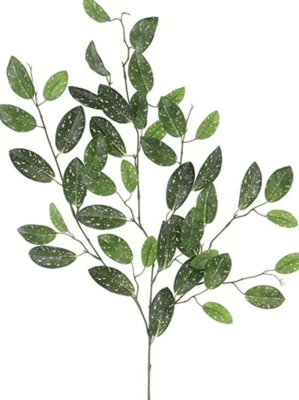 Hoya Hanging Spray 34 in.