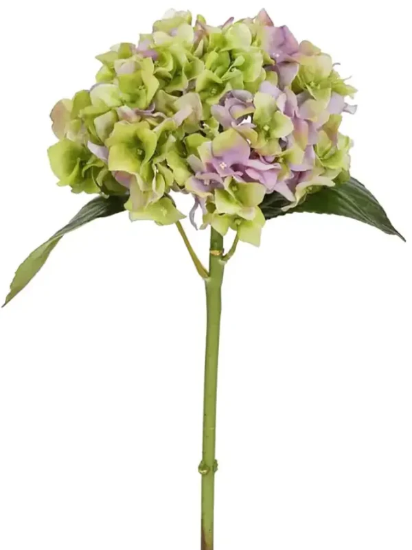 Hydrangea 18 in. Lavender/Green