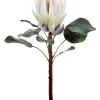 King Protea 23.5 in. White