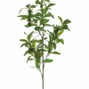 Laurel Leaf Spray 37 in. Green