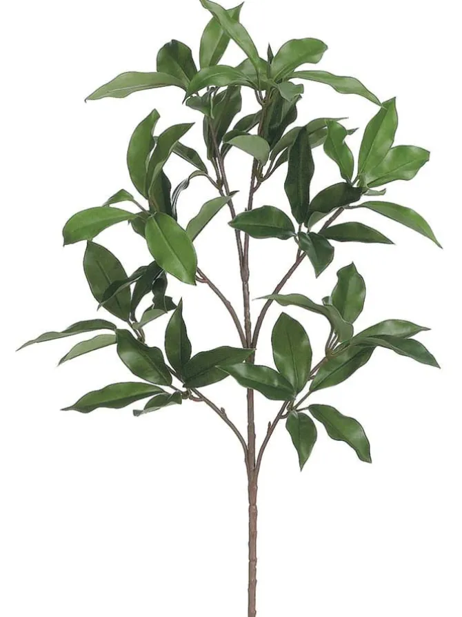laurel_spray__in_green_0.webp Laurel Spray 24 in. Green