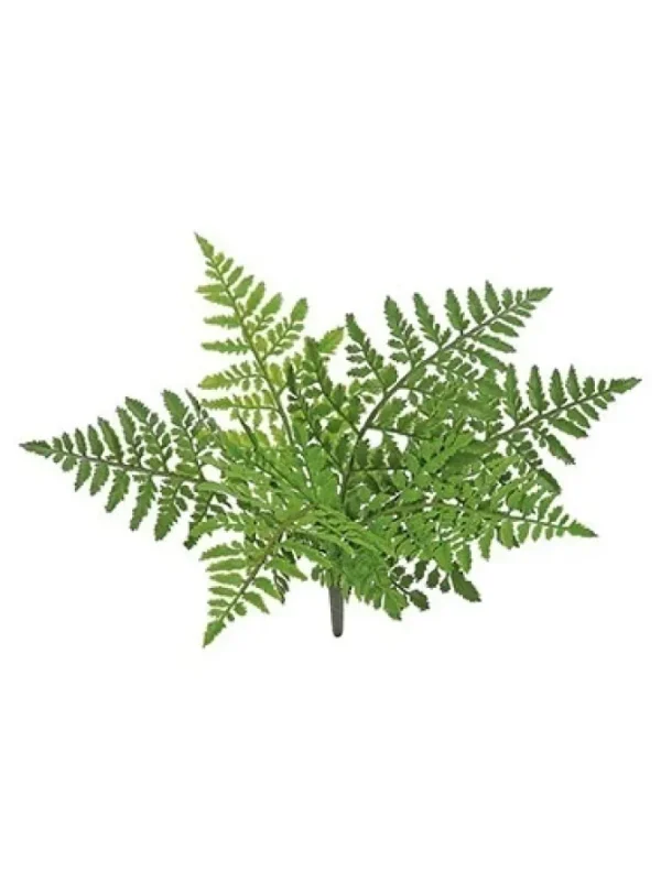 Leather Fern Bush 14 in.