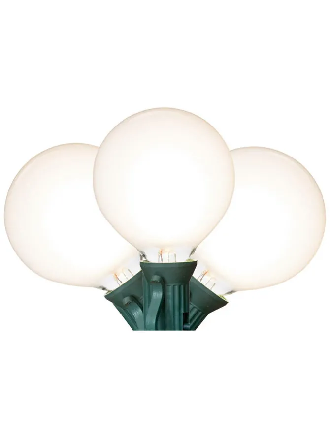 led_g_glass_bulb__ft__lig_0-2.webp LED G50 Glass Bulb 15 FT 15 Lights - Warm White