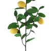 Lemon Pick 39 in.