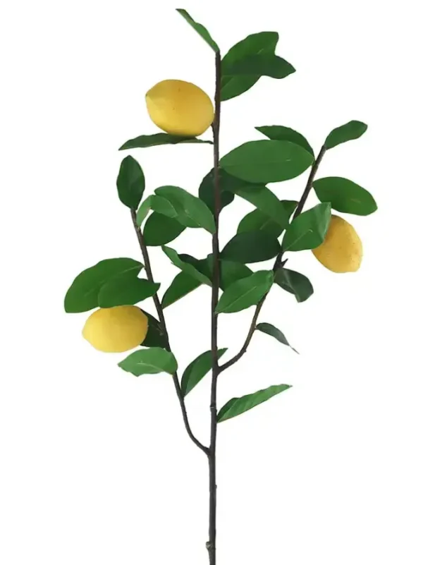 Lemon Pick 39 in.