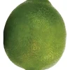 Lime 3.1 in.