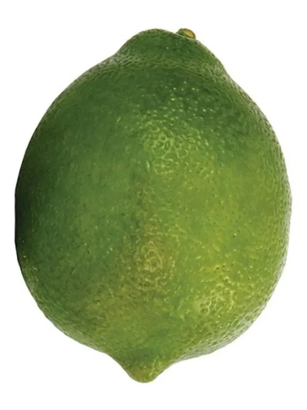 Lime 3.1 in.