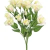 Lisianthus Bush 20.5 in. Pink / Cream