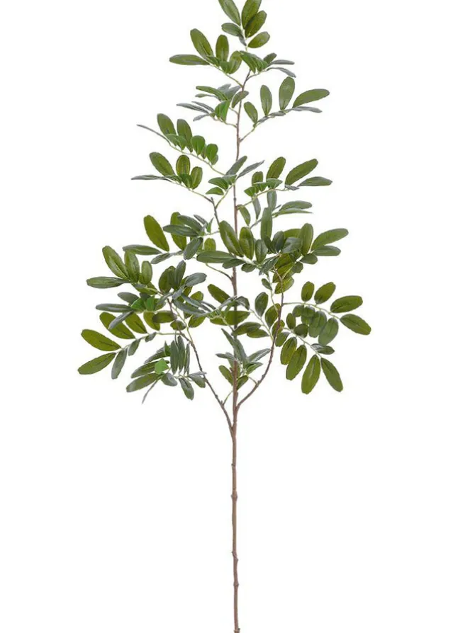 locust_leaf_spray__in_gre_0.webp Locust Leaf Spray 37.5 in. Green