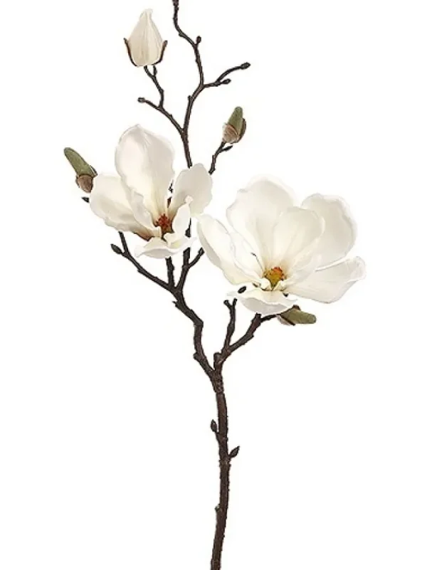 Magnolia Spray 19 in. Cream
