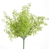 Maidenhair Bush 12 in. Green