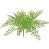 Maidenhair Fern 11 in. Green