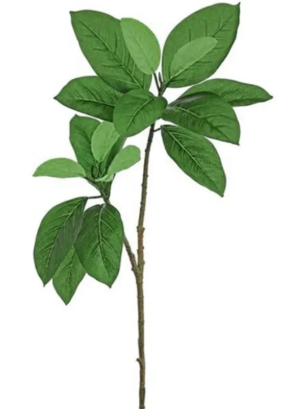 Mangrove Leaf Spray 36 in. Green